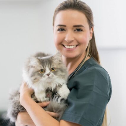 Pet Treatment by Doctor