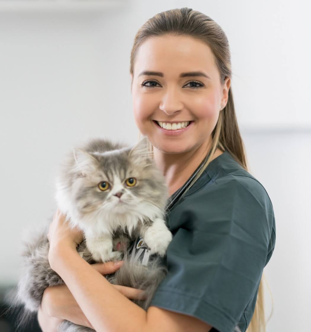 Pet Treatment by Doctor